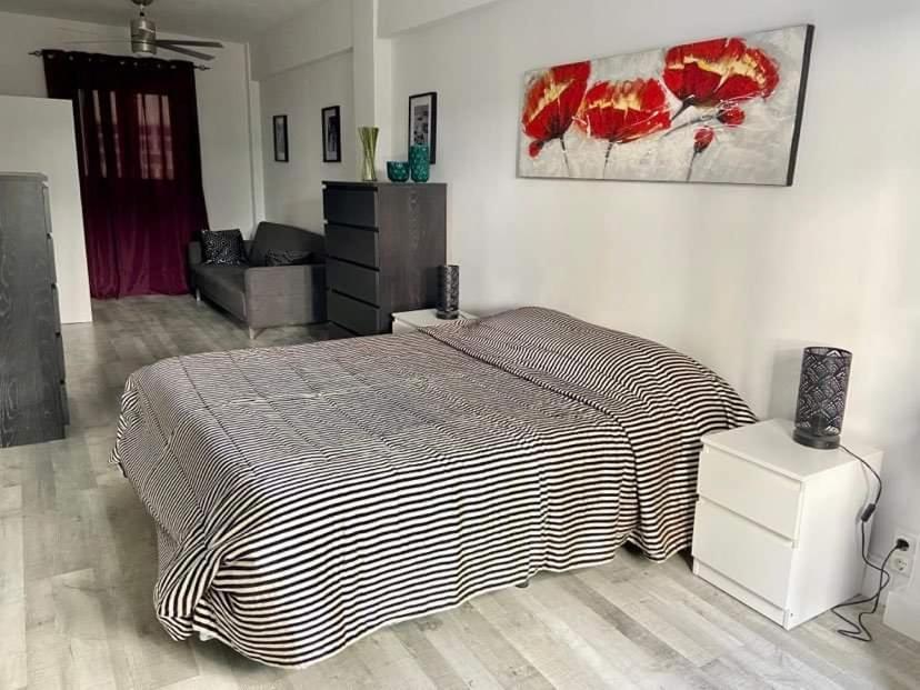 Rainbow Rentals Marques 7 貝尼多姆 外观 照片
