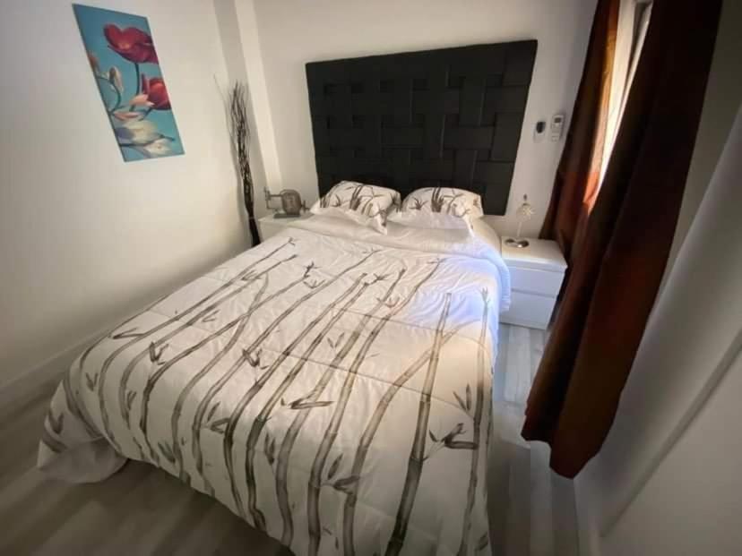 Rainbow Rentals Marques 7 貝尼多姆 外观 照片